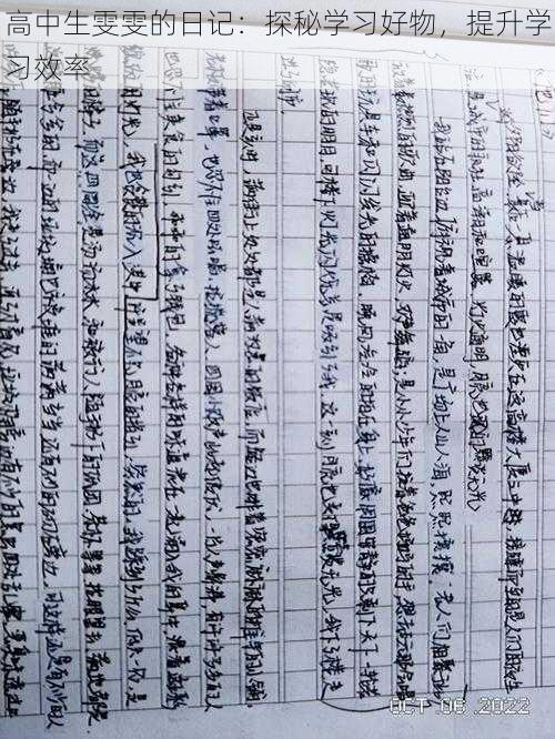 高中生雯雯的日记:探秘学习好物,提升学习效率