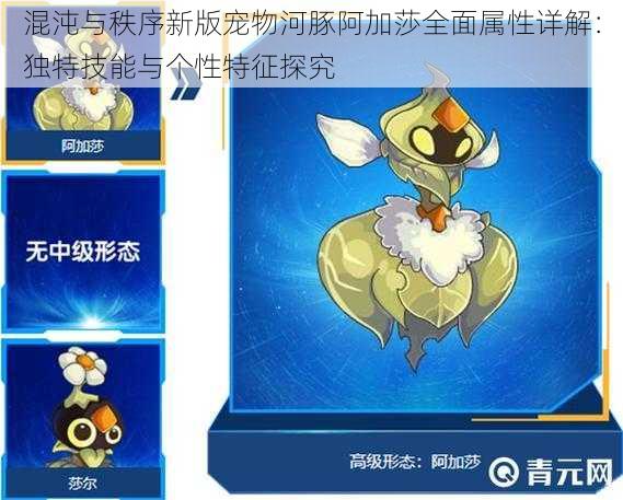 混沌与秩序新版宠物河豚阿加莎全面属性详解:独特技能与个性特征探究