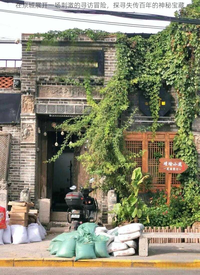在京城展开一场刺激的寻访冒险,探寻失传百年的神秘宝藏